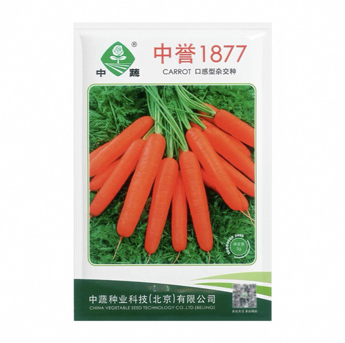 中誉1877春夏秋播胡萝卜种子 早熟高产根茎种子农科院蔬菜种子