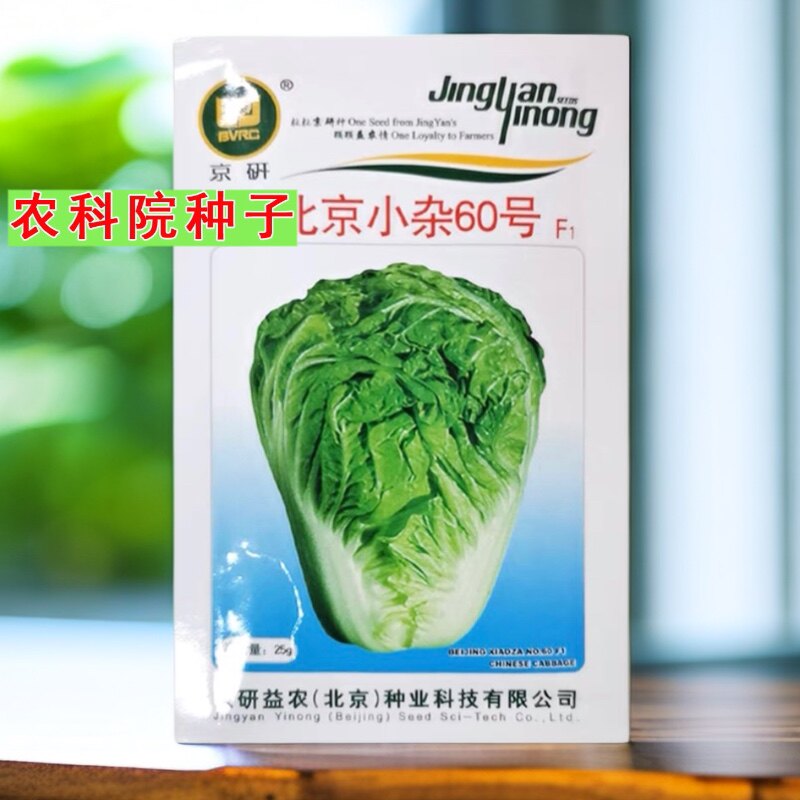 北京小杂60号大白菜种子 早熟60天矮脚耐热蔬菜种子农科院京研25g图片