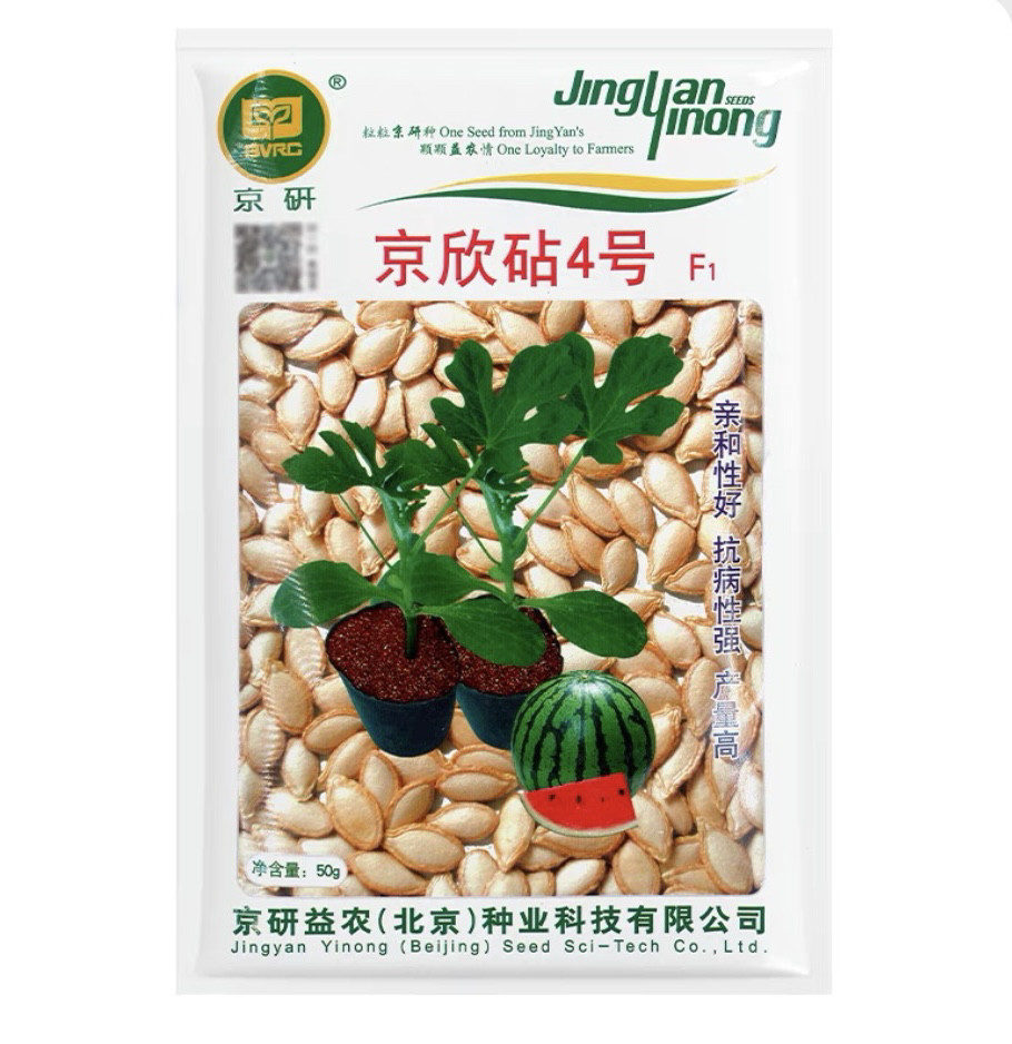 京欣砧4号/早春西瓜嫁接砧木高产抗病特甜西瓜农科院种子京研50g