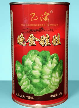 晚金娃娃儿菜种子秋季四川晚熟娃儿菜种子重庆娃娃菜芥菜儿菜种
