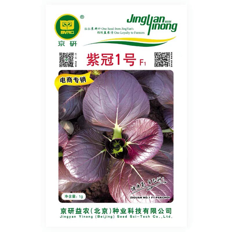 紫冠1号叶菜蔬菜种子 北京农科院油菜小白菜四季播种盆栽阳台京研