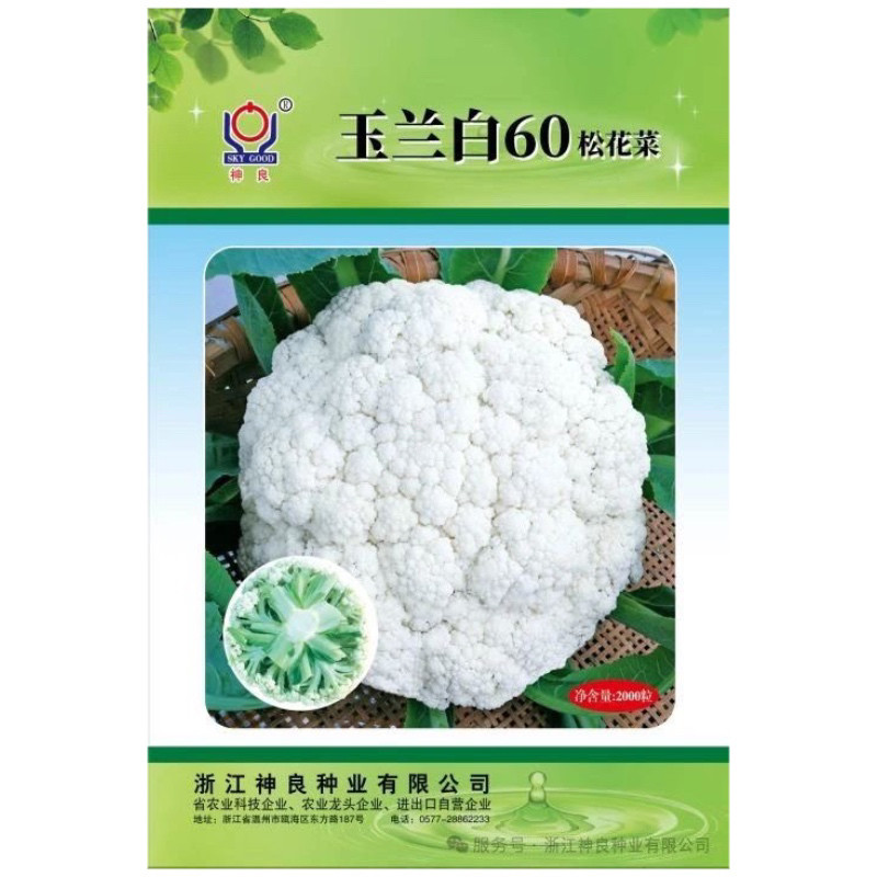 玉兰白60 65 70 108松花菜种子早熟耐热半松花球秋季专用松花菜种