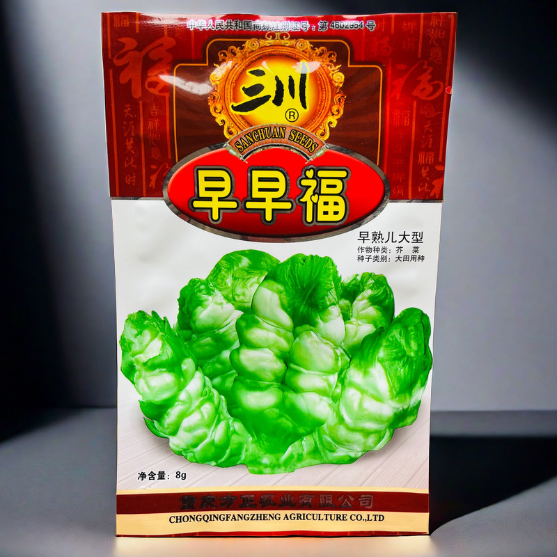 早早福儿菜种子 四川重庆璧山丁家儿菜种 特大娃娃菜 抱子儿菜籽