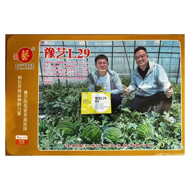 豫艺L29麒麟西瓜种子 早熟特甜8424高产西瓜种子 耐低温弱光西瓜