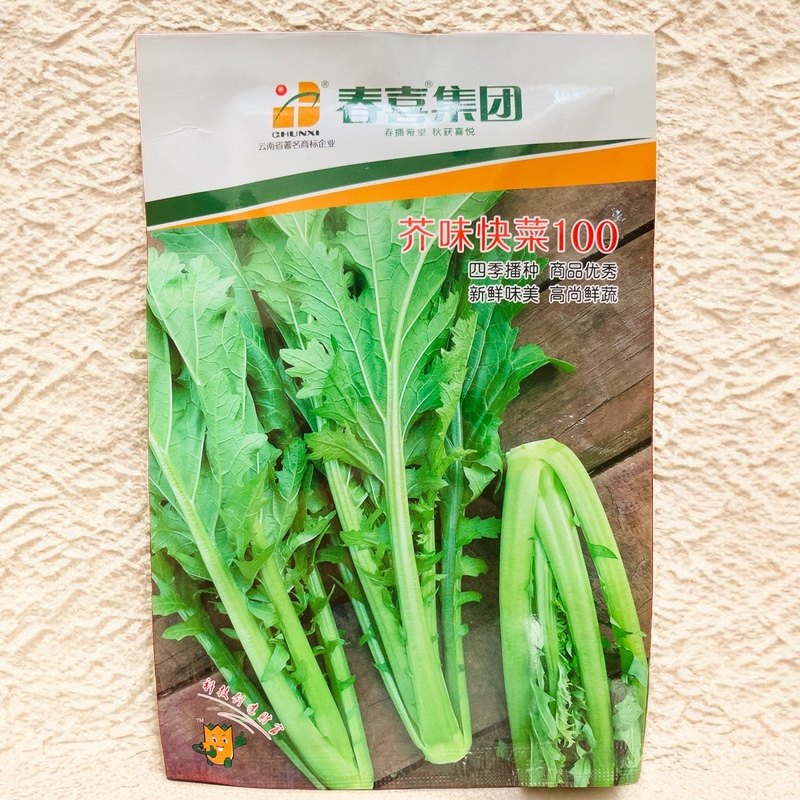 芥味快菜100芥菜籽种 云南苦菜贵州青菜小白菜腌制酸菜蔬菜种子