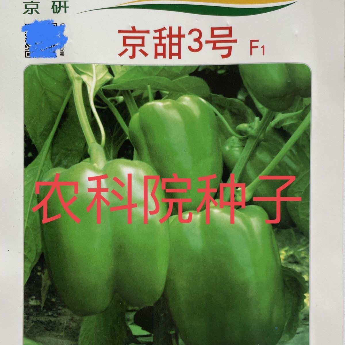 京甜3号/京研甜椒种子 耐低温弱光抗病辣椒种子农科院蔬菜种子8g