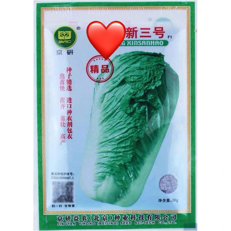 北京新三3号大白菜种子 农科院抗病高产蔬菜种子京研冬储大白菜籽图片