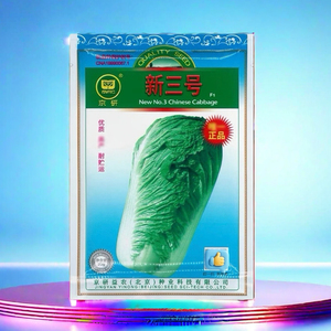 北京新三号农科院大白菜种子 秋季耐寒高产抗病晚熟冬储大白菜籽