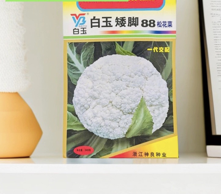 神良白玉矮脚88松花菜种子 中熟耐寒抗病春秋花菜籽 花球雪白脆甜