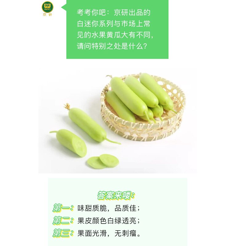 京研迷你白/全雌早熟 翠嫩 瓜甜味浓 瓜皮白绿色水果黄瓜种子5g