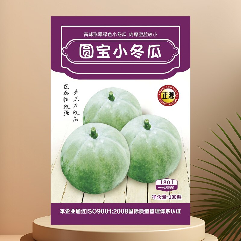 圆宝小冬瓜种子 圆形迷你冬瓜 特色香芋味种子水果冬瓜种子100粒