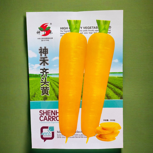齐头黄胡萝卜种子 蔬菜籽肉质脆甜抗寒耐热味道甜美 秋萝卜种子
