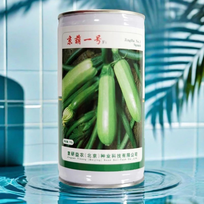 京葫1号西葫芦种子 特早熟矮生露地西葫籽瓜码密高产蔬果蔬菜京研
