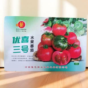 草莓口感西红柿绿肩粉果番茄种1000粒 豫艺优喜三号水果番茄种子