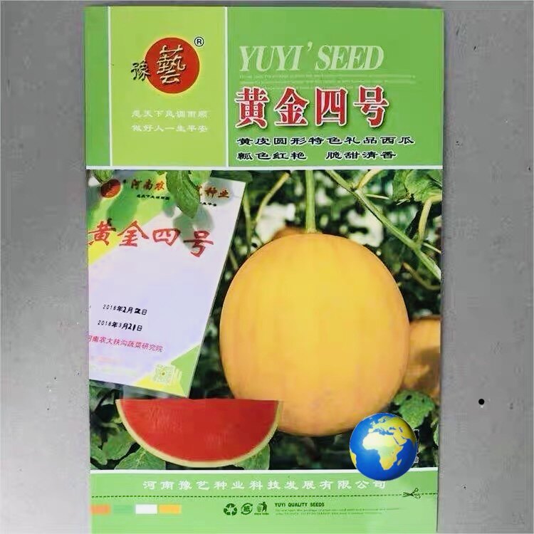 黄金四号西瓜种子 黄皮红瓤西瓜种籽脆甜多汁礼品西瓜种子100粒