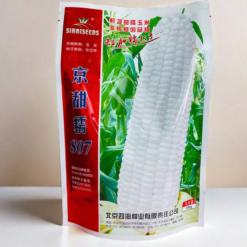京甜糯807玉米种子 软糯香甜 优质高产抗病 鲜食白玉米种子500g