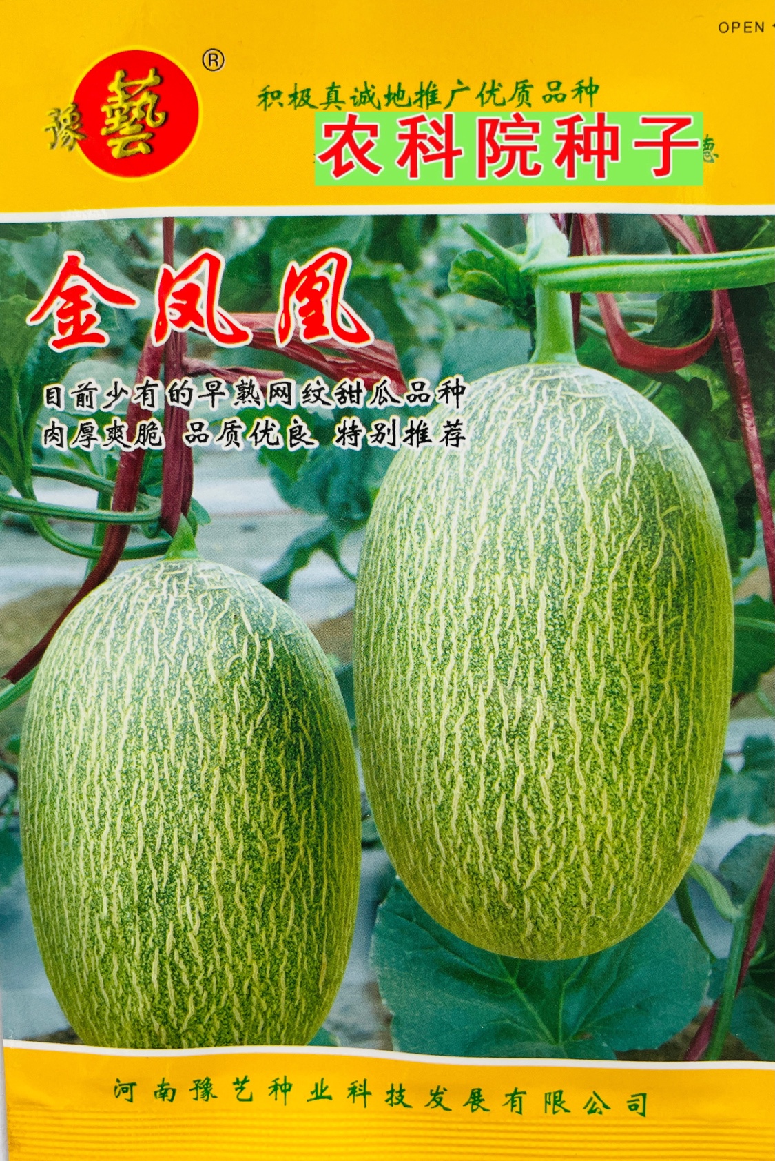 金凤凰 早熟网纹甜瓜种子厚皮特甜哈密瓜种子春秋棚高产好吃100粒