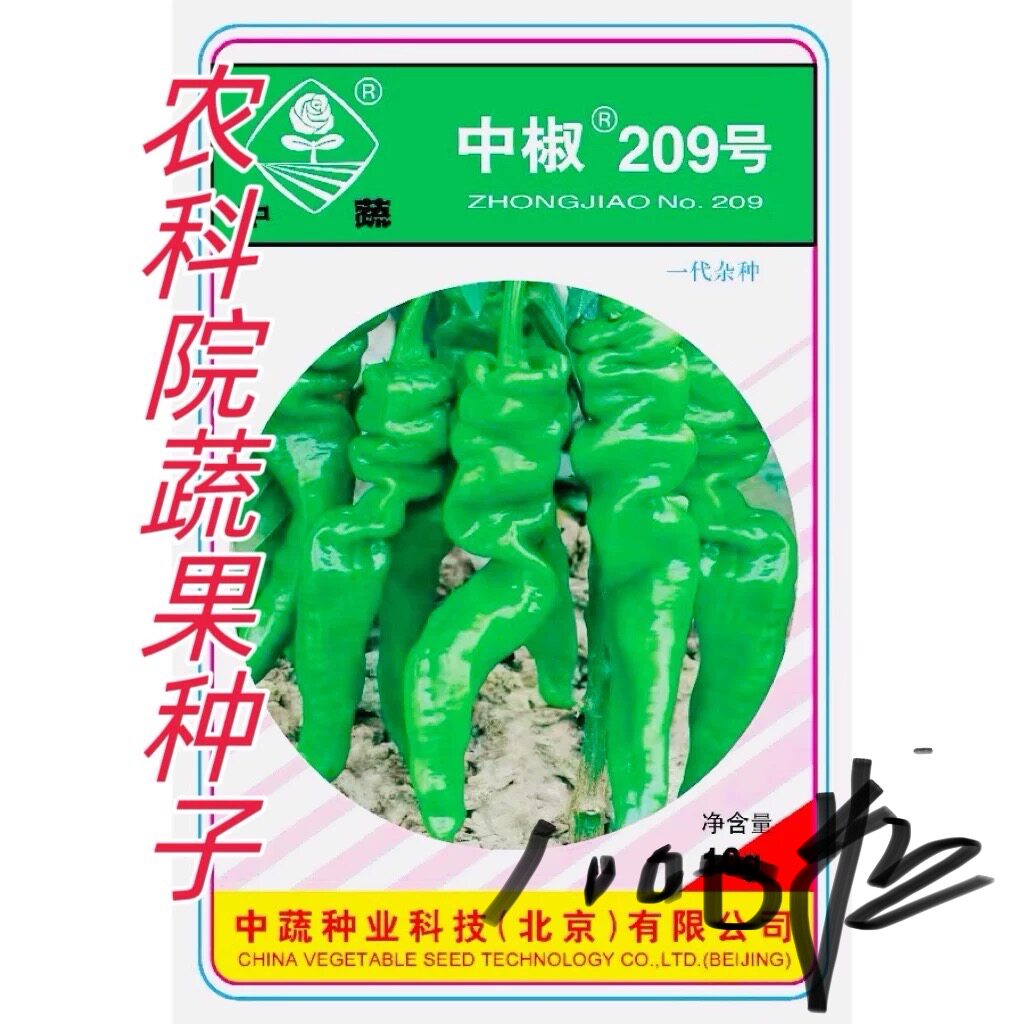中椒209辣椒种子 早熟螺丝椒羊角辣椒种子 农科院北京中蔬10g