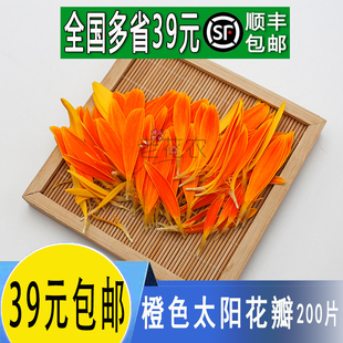 新鲜橙色太阳花瓣混合色弗朗花餐饮酒店鲜花草西餐摆盘装饰花草
