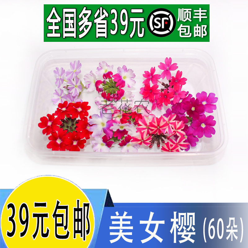 春季可食用日料西餐摆盘美女樱