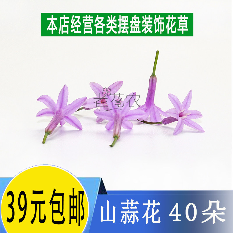 新鲜山蒜花40朵食用花星光璀璨花鲜花繁星花西餐日料摆盘装饰点缀