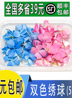 新鲜 蓝色绣球粉色绣球花酒店冷艺摆盘鲜花 日料装饰点缀花草