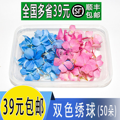 新鲜蓝色绣球粉色绣球花