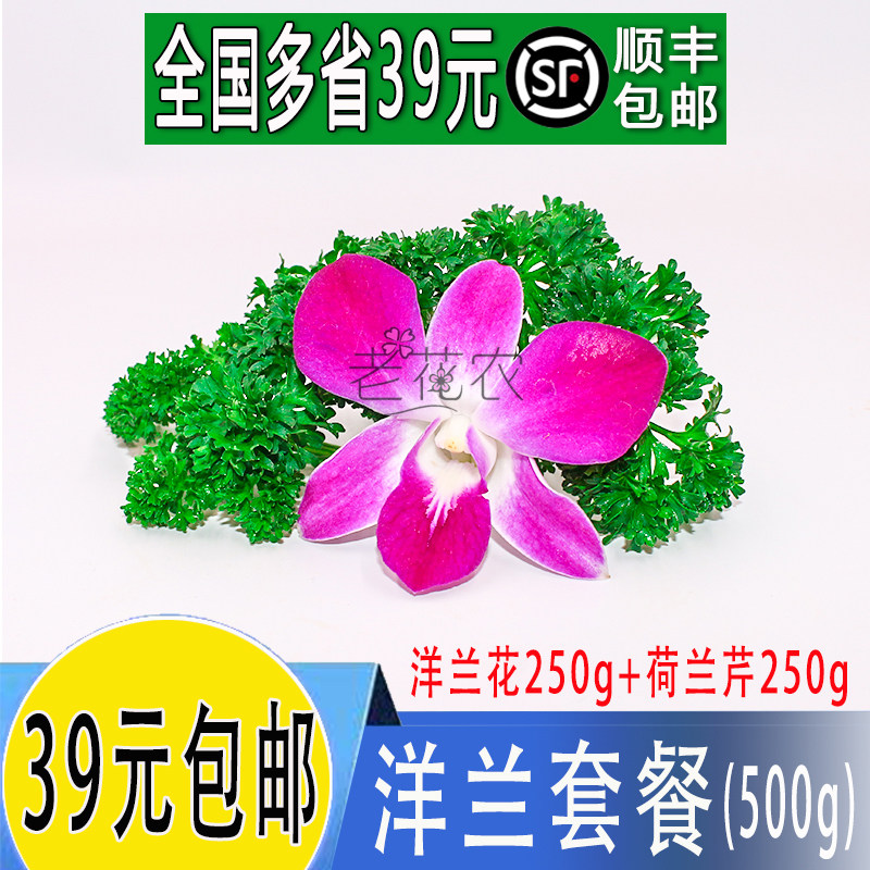 新鲜 洋兰花 杨兰花 荷兰芹 法香 蕃茜酒店冷艺摆盘火锅店摆