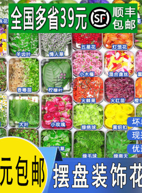 新鲜三色堇酒店餐饮花草黄金柳芽
