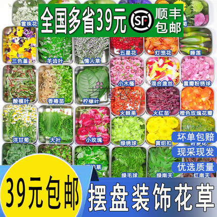 新鲜三色堇酒店餐饮花草黄金柳芽摆盘装饰合集清香木叶子蛋糕点缀