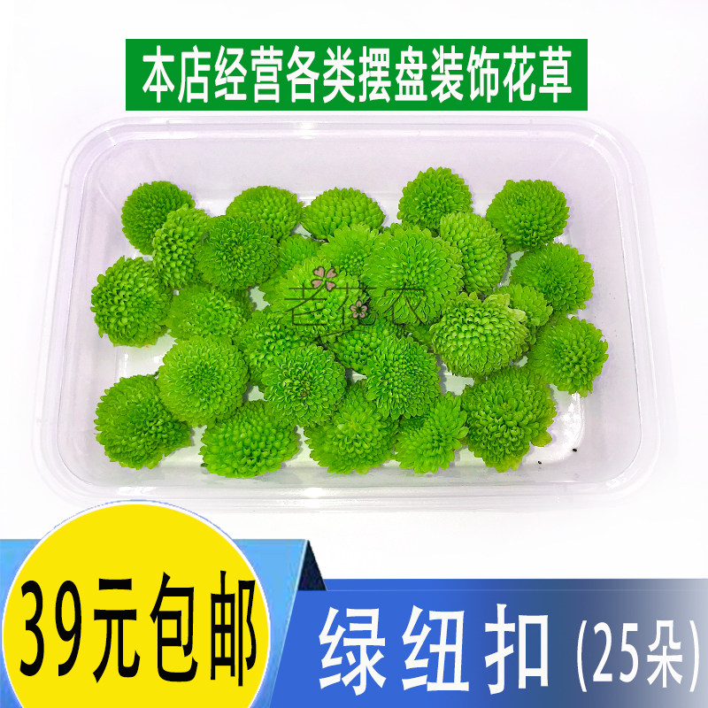 新鲜绿纽扣菊花 绿雏菊 小菊花日料西餐酒店摆盘装饰 25朵