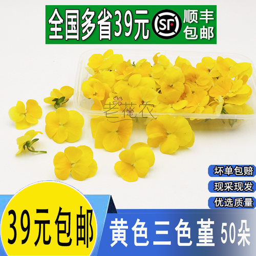 黄色三色堇花摆盘鲜花草