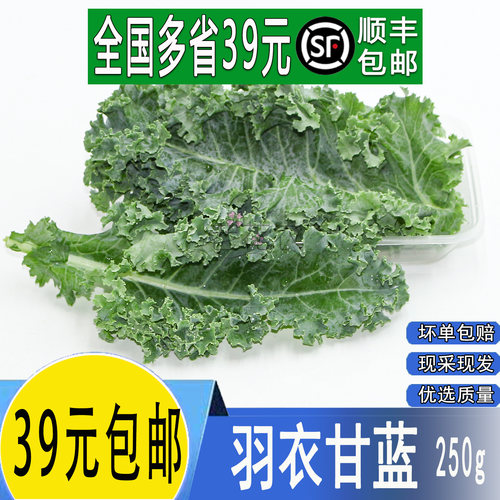 羽衣甘蓝嫩叶甘兰kale蔬菜沙拉