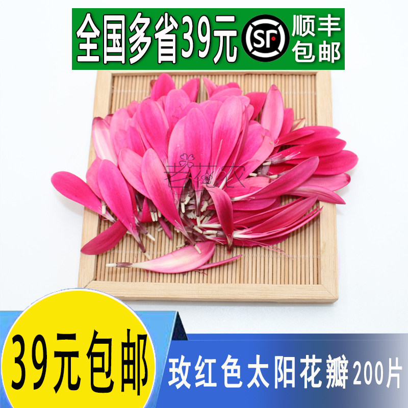 新鲜玫红色太阳花瓣混合色弗朗花餐饮酒店鲜花草西餐摆盘装饰花草