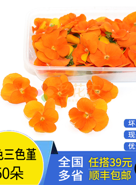 新鲜装饰花橙色三色堇 50朵三色花 西餐摆盘菜装饰餐饮摆盘鲜花草
