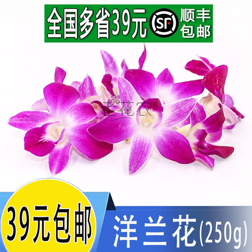 新鲜洋兰花日料装饰点缀