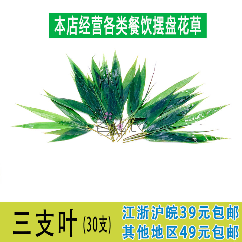 真空新鲜 小竹叶 三枝叶 真空包装30支/袋 酒店西餐冷盘摆盘装饰