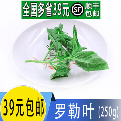 西餐香料 新鲜罗勒叶 甜罗勒叶 欧罗 可做青酱 250g