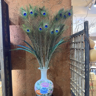 9支大眼睛真孔雀羽毛寓意吉祥