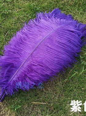 紫色鸵鸟毛羽毛15-70cm婚庆摆设装饰羽毛演出服装头饰手工DIY道具