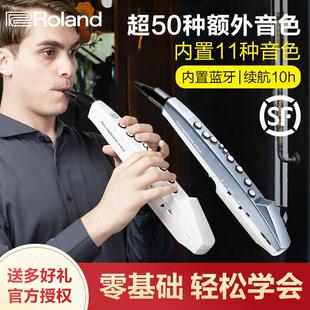 Roland罗兰电吹管乐器大全AE01 AE01C初学电萨克斯葫芦丝电子管笛