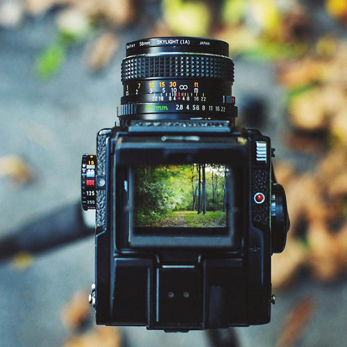 玛米亚M6451000S中画幅相机腰屏