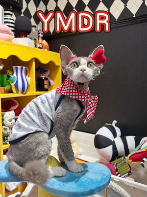 YMDR德文猫帽子夏季清爽福利吊带