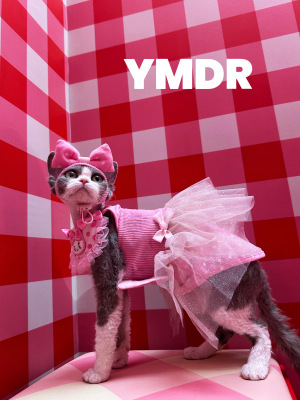 YMDR德文衣服春款波点蝴蝶结打底