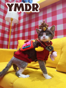 YMDR原创德文衣服无毛衣服马年限定款马上有钱小马胸背萌宠造型帽