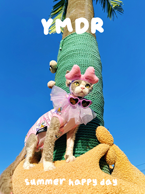 YMDR德文帽子可爱四脚两脚福利款