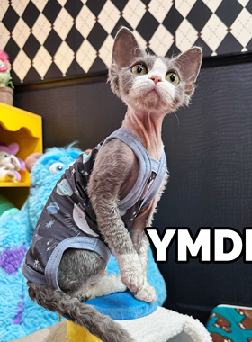 YMDR德文猫衣服无毛猫衣服夏季清凉莫代尔可爱四脚吊带护肚空调服