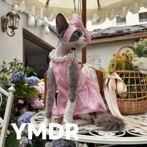 YMDR粉波点猫咪公主裙网红街拍