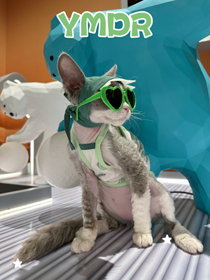 YMDR德文帽子夏季防晒帽防暑福利