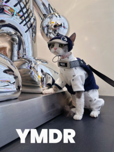 YMDR户外胸背德文衣服无毛衣服春款纯棉小熊四脚帅气炸街棒球帽